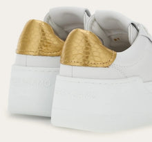 Load image into Gallery viewer, Dahlia Sneaker in Optic white/Gold